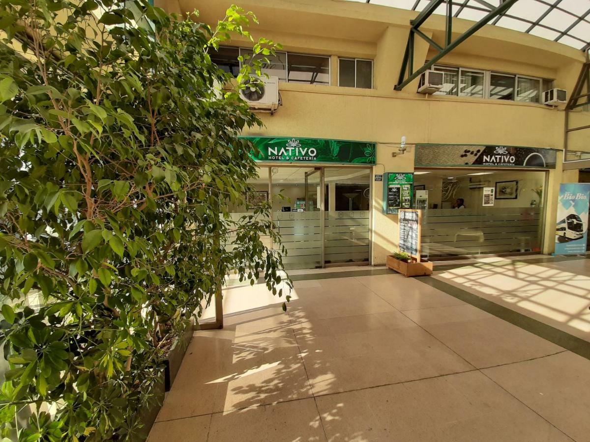 Nativo Hotel Y Cafeteria Talca  Exterior photo